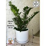 Мини кашпо - Изображение 4