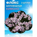 Семена растения хризантема инодорум наряд невесты - Изображение 3